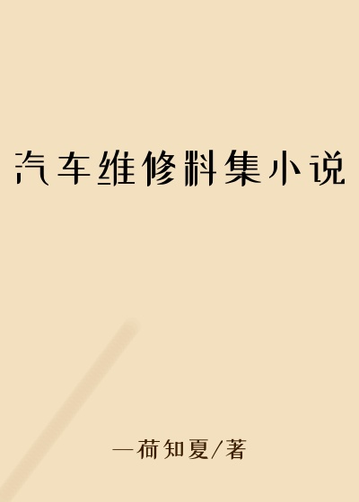 汽车维修料集小说